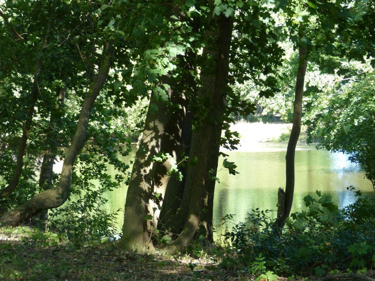 Ferienwohnung Mit Brockenblick Langenstein Exterior foto