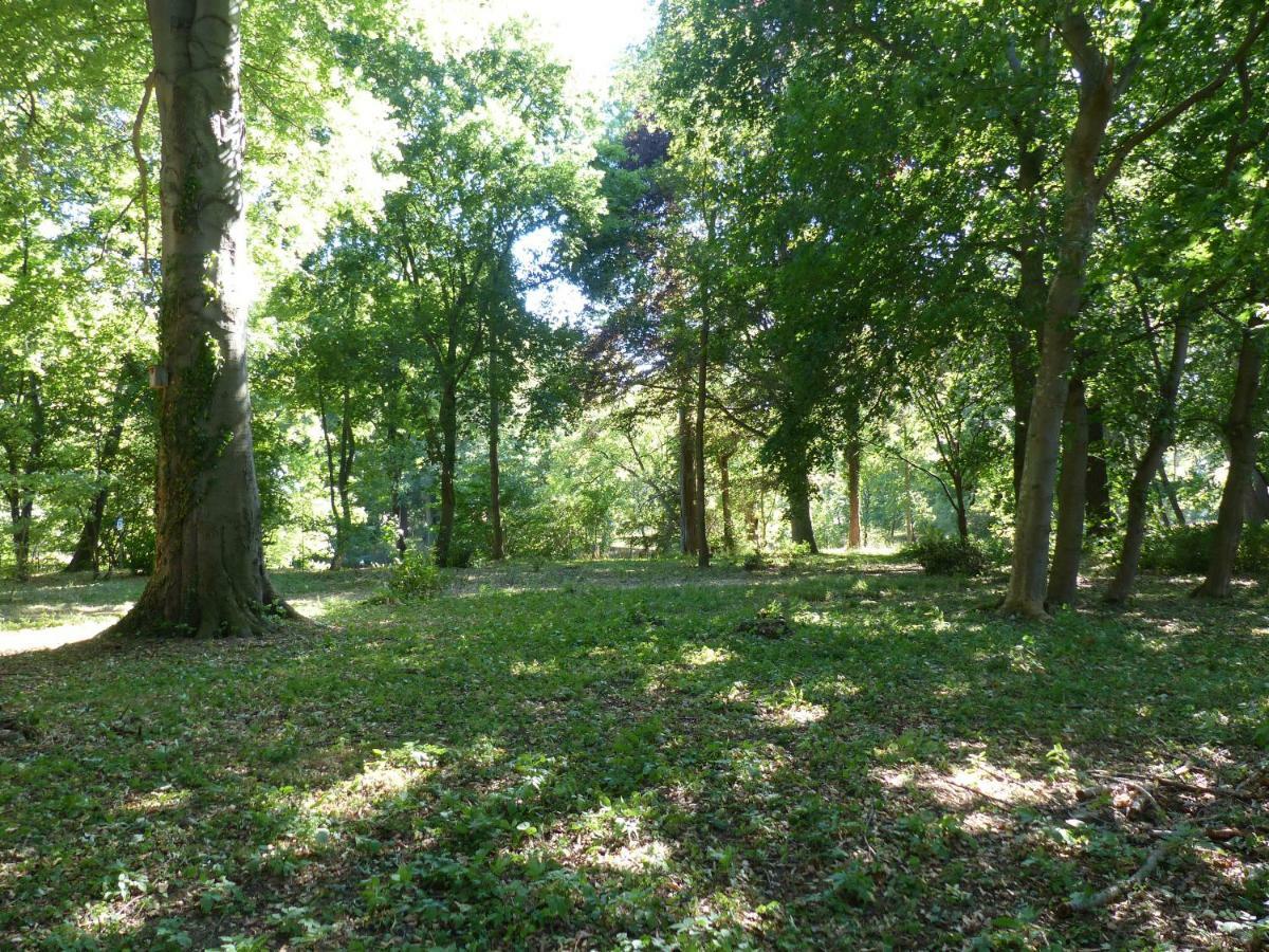 Ferienwohnung Mit Brockenblick Langenstein Exterior foto